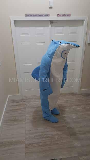 miami dolphins mascot