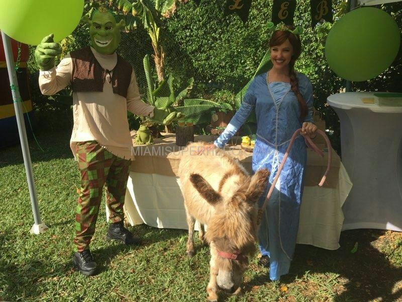 Shrek Fiona characters for birthday