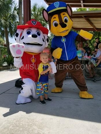 paw patrol chase and paw patrol marshal party